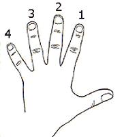 hand.jpg